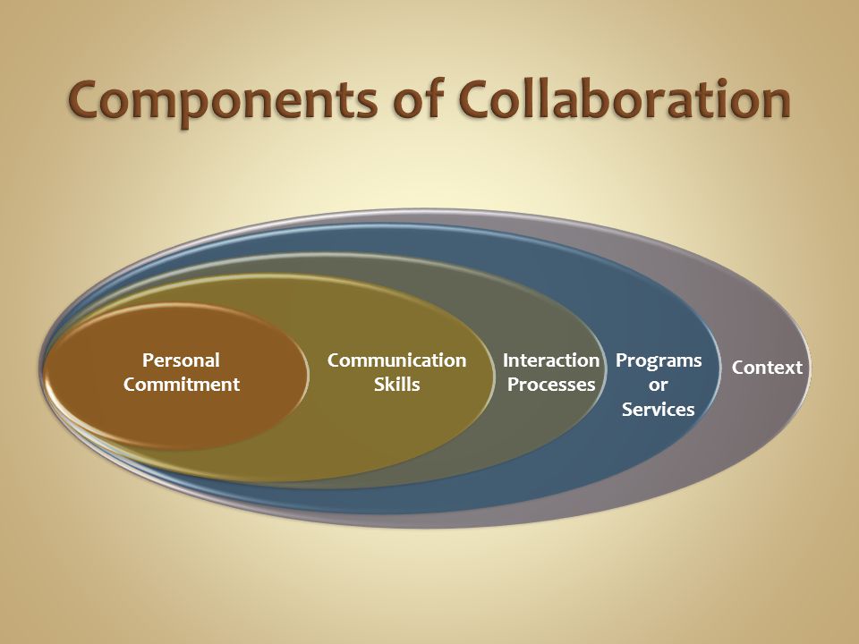 Communication Skills Personal Commitment Programs or Services Interaction Processes Context