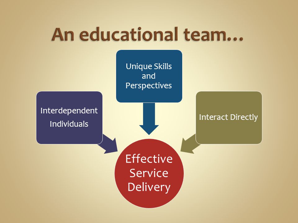 Effective Service Delivery Interdependent Individuals Unique Skills and Perspectives Interact Directly