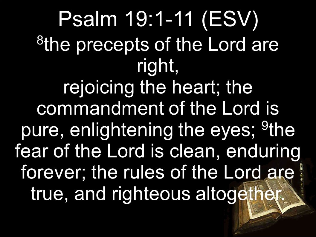 8 the precepts of the Lord are right, rejoicing the heart; the commandment of the Lord is pure, enlightening the eyes; 9 the fear of the Lord is clean, enduring forever; the rules of the Lord are true, and righteous altogether.
