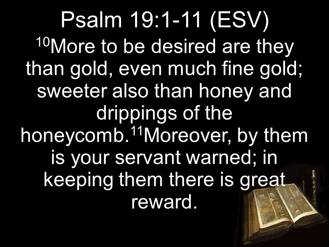 10 More to be desired are they than gold, even much fine gold; sweeter also than honey and drippings of the honeycomb.