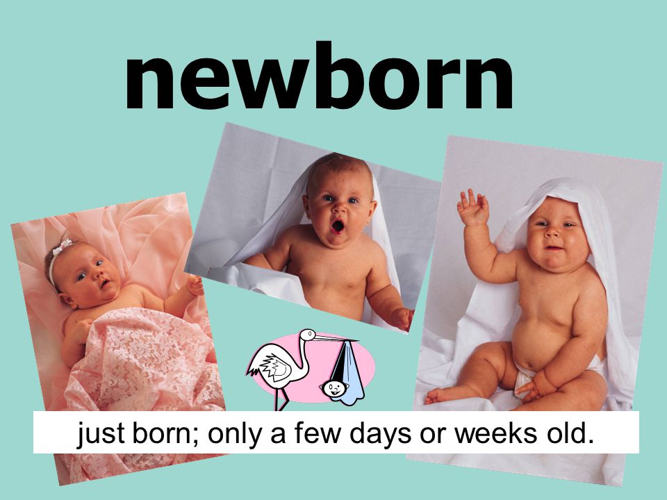 newborn just born; only a few days or weeks old.