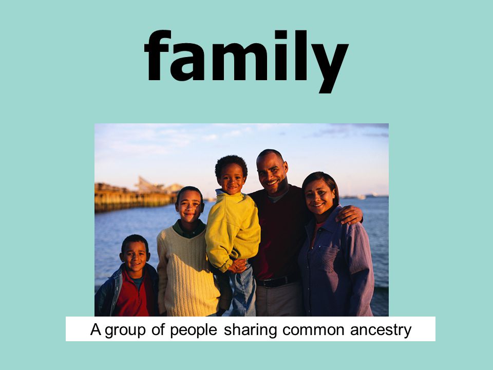 family A group of people sharing common ancestry