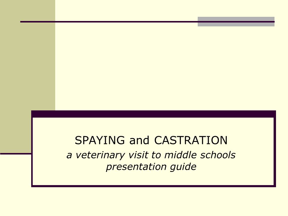 SPAYING and CASTRATION a veterinary visit to middle schools presentation guide