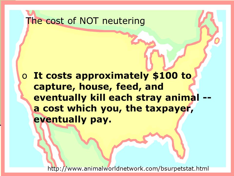 oIt costs approximately $100 to capture, house, feed, and eventually kill each stray animal -- a cost which you, the taxpayer, eventually pay.