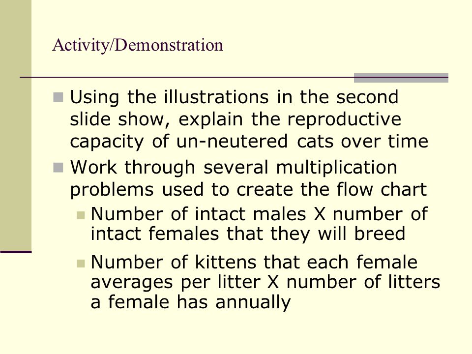Activity/Demonstration Using the illustrations in the second slide show, explain the reproductive capacity of un-neutered cats over time Work through several multiplication problems used to create the flow chart Number of intact males X number of intact females that they will breed Number of kittens that each female averages per litter X number of litters a female has annually