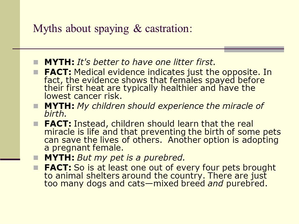 Myths about spaying & castration: MYTH: It s better to have one litter first.