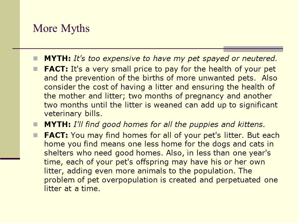 More Myths MYTH: It s too expensive to have my pet spayed or neutered.