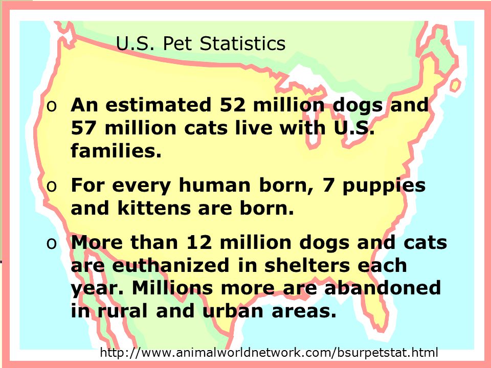 oAn estimated 52 million dogs and 57 million cats live with U.S.