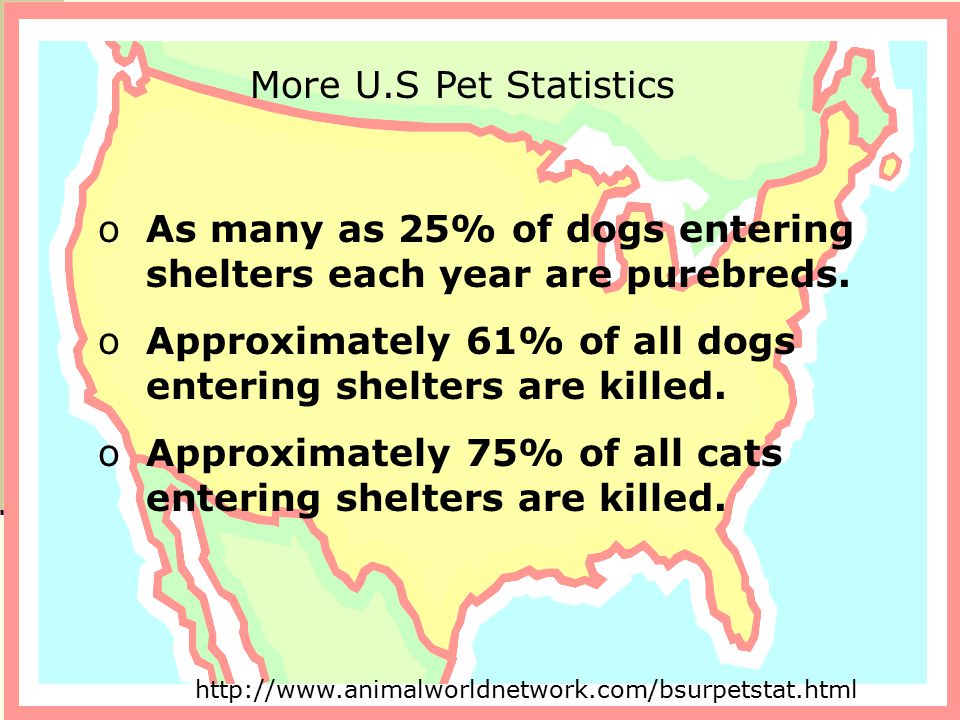 oAs many as 25% of dogs entering shelters each year are purebreds.