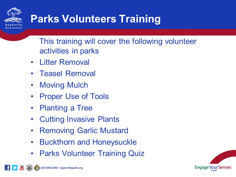 This training will cover the following volunteer activities in parks Litter Removal Teasel Removal Moving Mulch Proper Use of Tools Planting a Tree Cutting Invasive Plants Removing Garlic Mustard Buckthorn and Honeysuckle Parks Volunteer Training Quiz Parks Volunteers Training