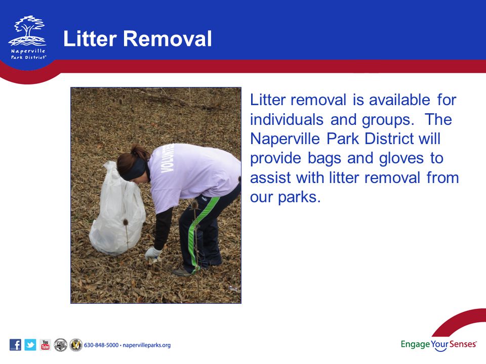 Litter Removal Litter removal is available for individuals and groups.