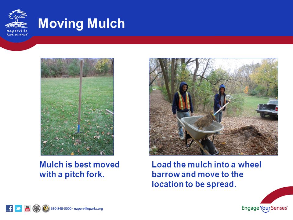 Mulch is best moved with a pitch fork.