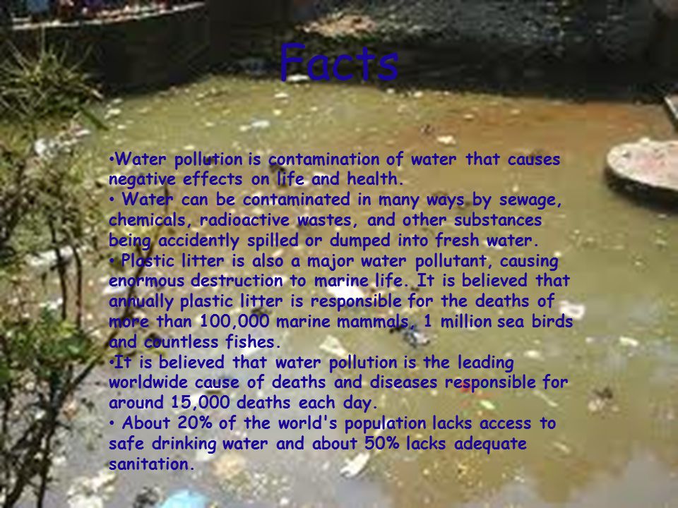 Facts Water pollution is contamination of water that causes negative effects on life and health.