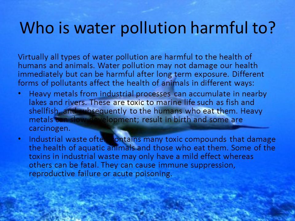 Who is water pollution harmful to.