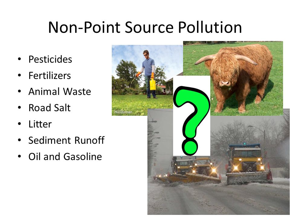 Non-Point Source Pollution Pesticides Fertilizers Animal Waste Road Salt Litter Sediment Runoff Oil and Gasoline