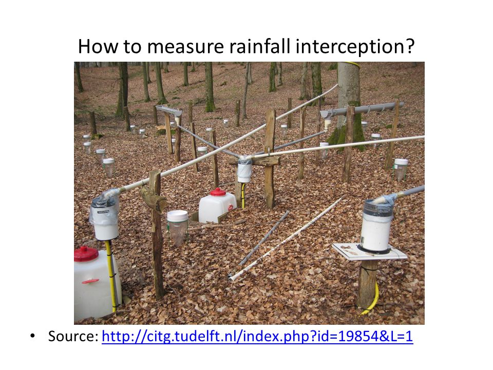 How to measure rainfall interception.