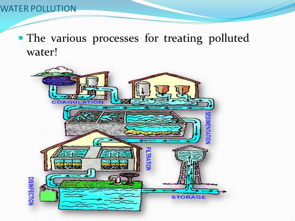 WATER POLLUTION The various processes for treating polluted water!