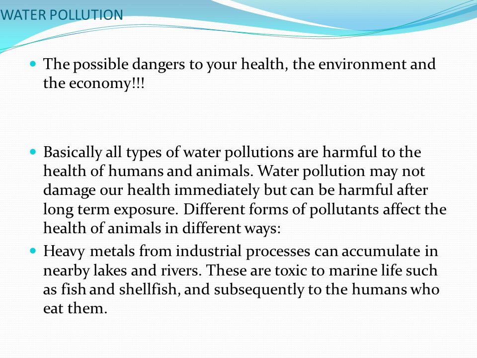 WATER POLLUTION The possible dangers to your health, the environment and the economy!!.
