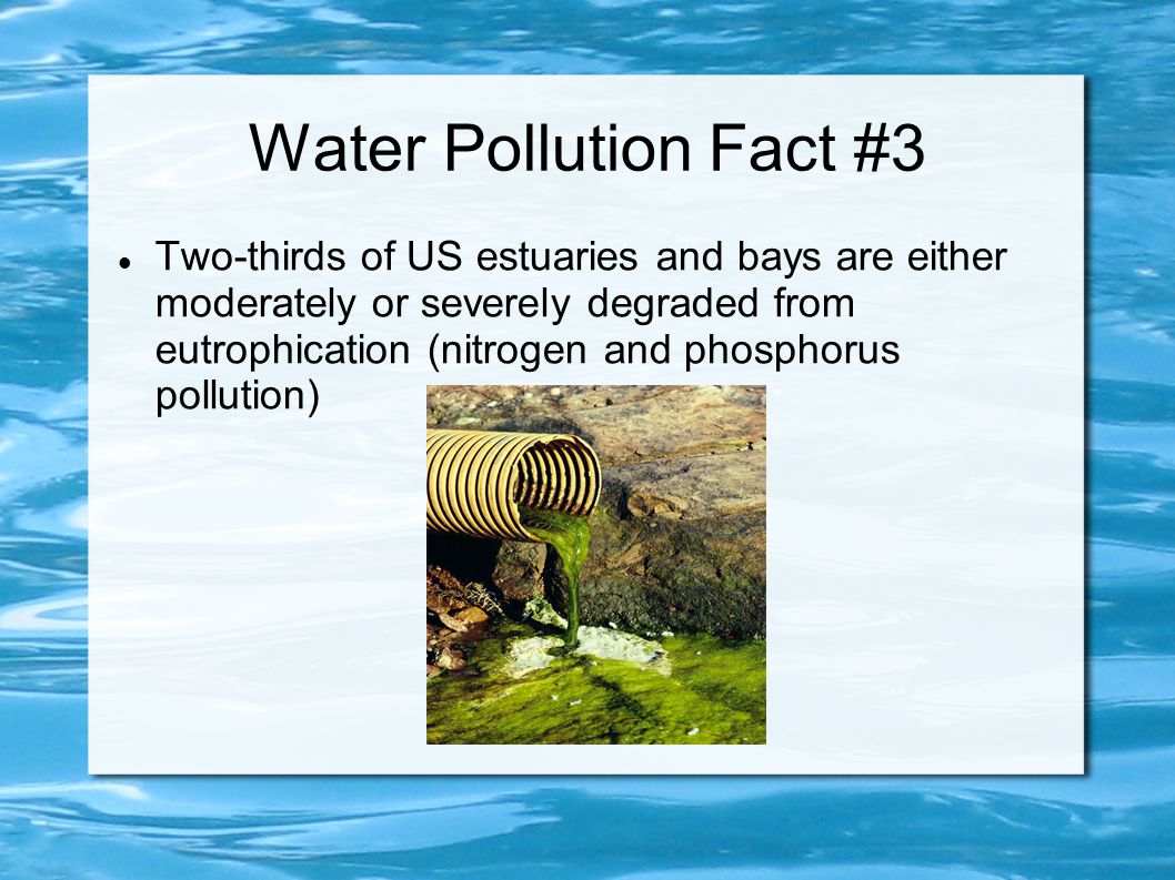 Water Pollution Fact #3 Two-thirds of US estuaries and bays are either moderately or severely degraded from eutrophication (nitrogen and phosphorus pollution)