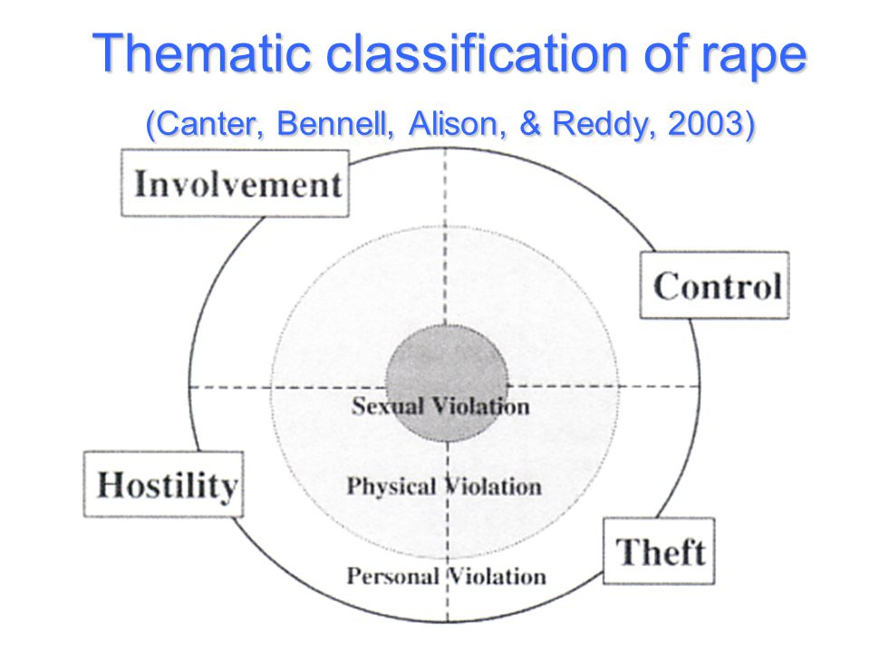 Thematic classification of rape (Canter, Bennell, Alison, & Reddy, 2003)