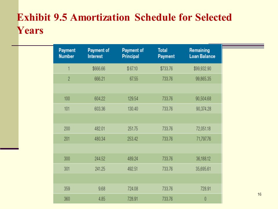 Exhibit 9.5 Amortization Schedule for Selected Years 16