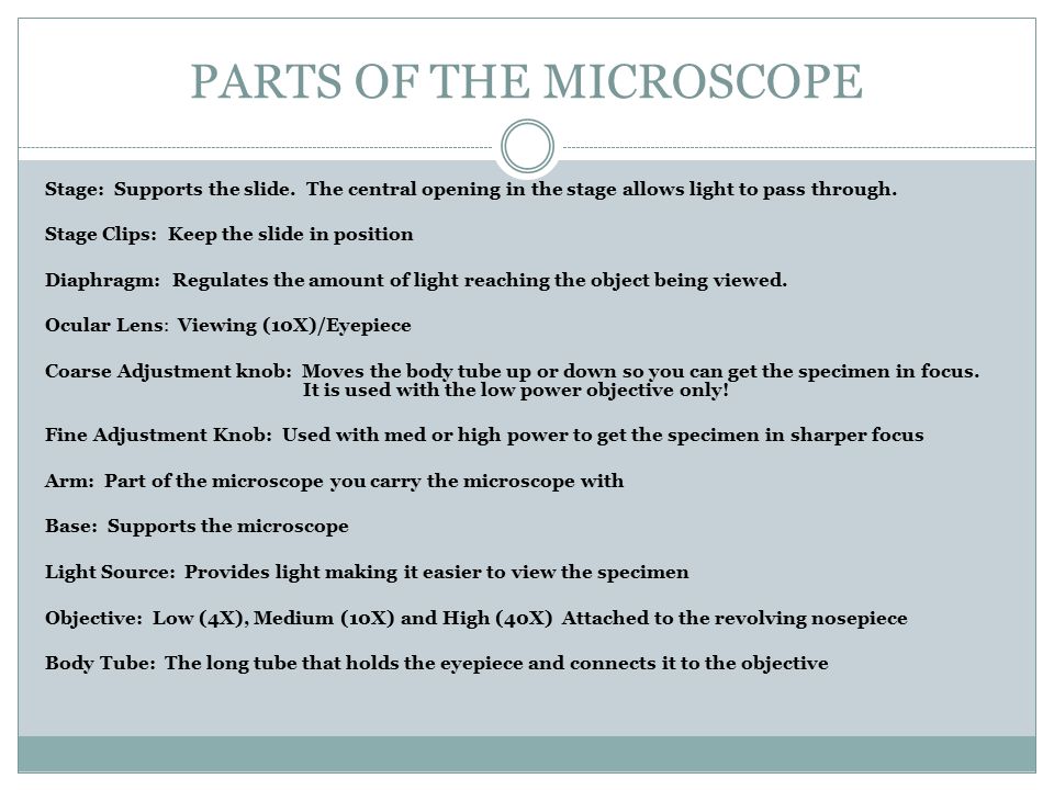 PARTS OF THE MICROSCOPE Stage: Supports the slide.