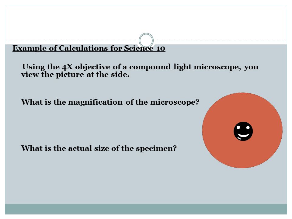 Example of Calculations for Science 10 Using the 4X objective of a compound light microscope, you view the picture at the side.