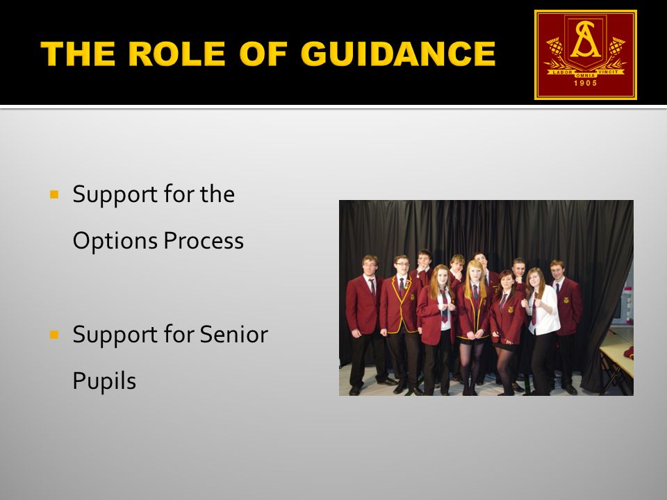  Support for the Options Process  Support for Senior Pupils
