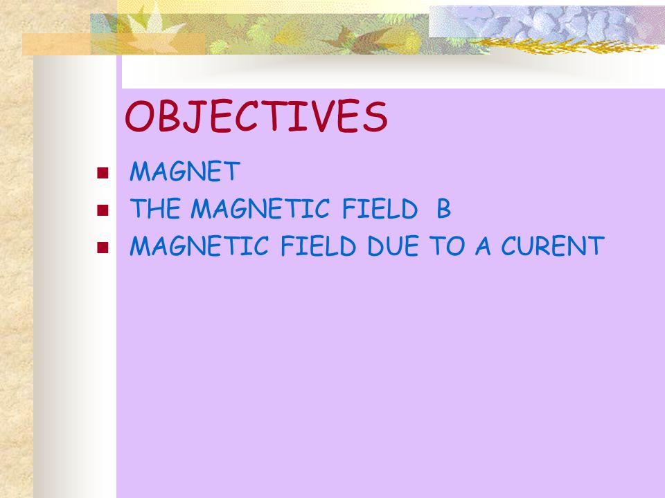 THE MAGNETIC FIELD SLIDES BY ZIL E HUMA. OBJECTIVES MAGNET THE MAGNETIC  FIELD B MAGNETIC FIELD DUE TO A CURENT. - ppt download