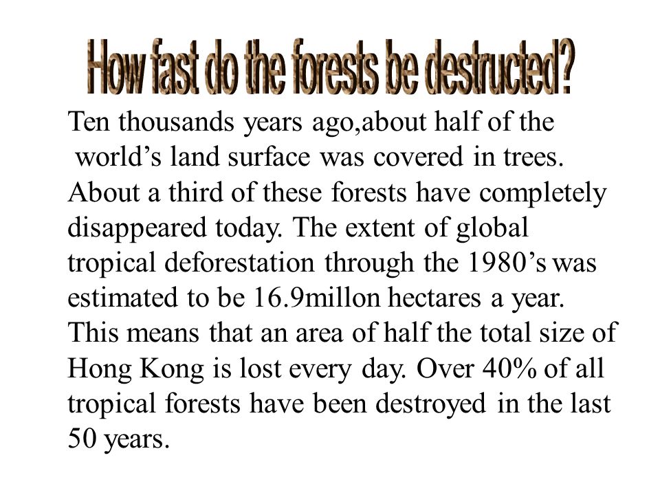 Ten thousands years ago,about half of the world’s land surface was covered in trees.