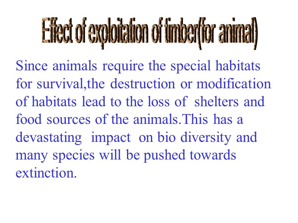 Since animals require the special habitats for survival,the destruction or modification of habitats lead to the loss of shelters and food sources of the animals.This has a devastating impact on bio diversity and many species will be pushed towards extinction.