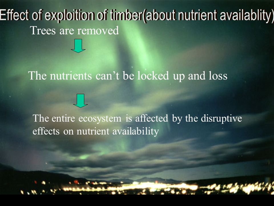 Trees are removed The nutrients can’t be locked up and loss The entire ecosystem is affected by the disruptive effects on nutrient availability
