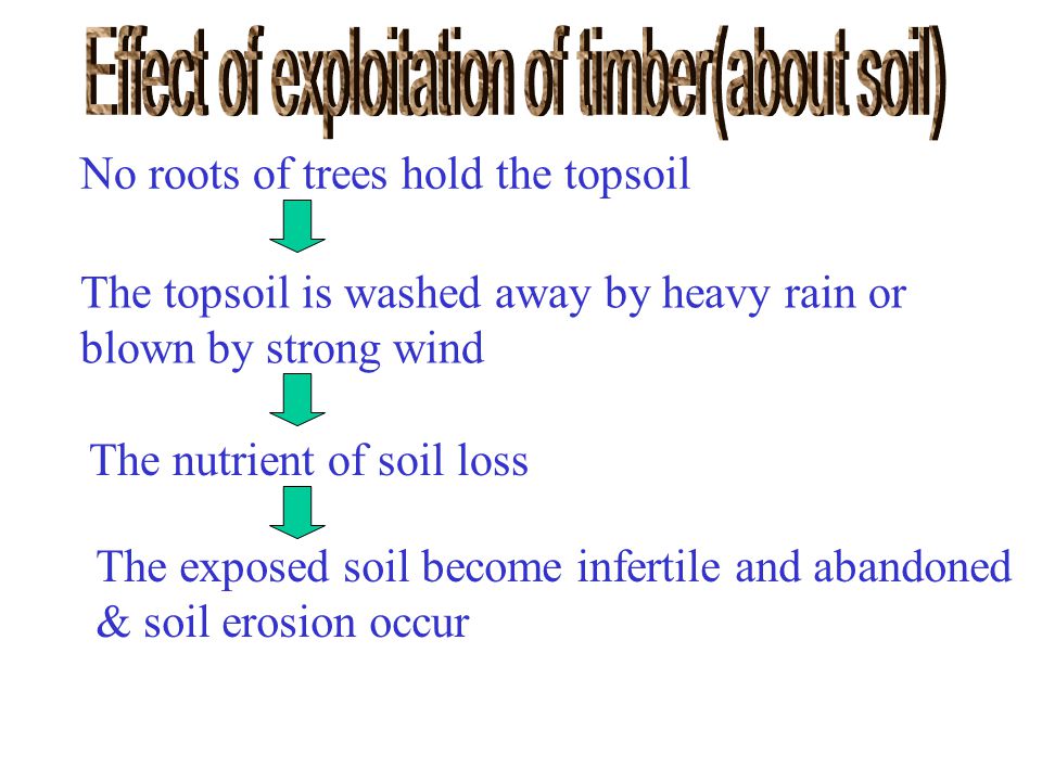 No roots of trees hold the topsoil The topsoil is washed away by heavy rain or blown by strong wind The nutrient of soil loss The exposed soil become infertile and abandoned & soil erosion occur