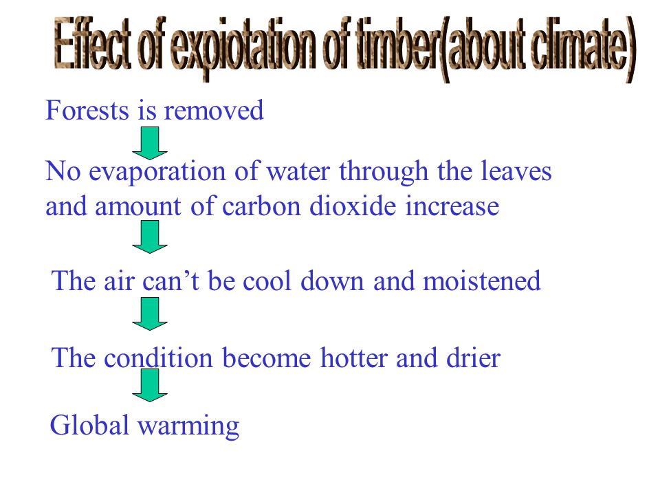 Forests is removed No evaporation of water through the leaves and amount of carbon dioxide increase The air can’t be cool down and moistened The condition become hotter and drier Global warming