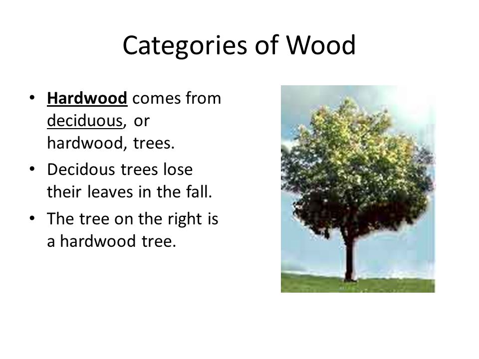 Categories of Wood Hardwood comes from deciduous, or hardwood, trees.