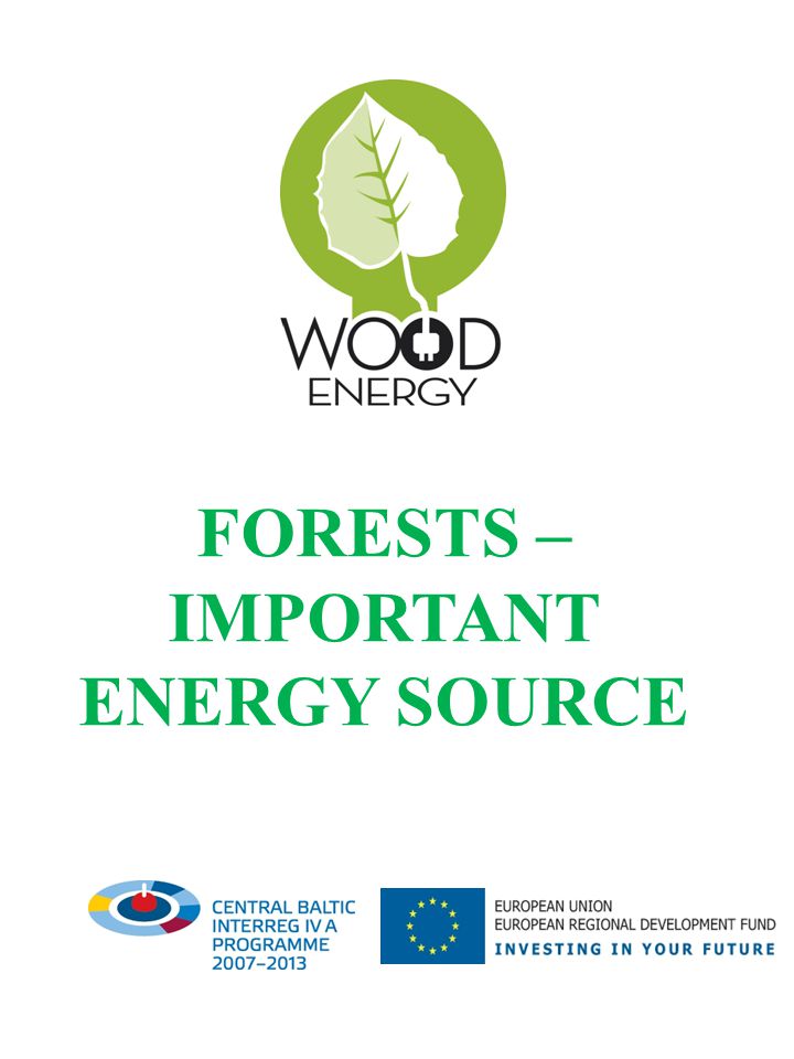 FORESTS – IMPORTANT ENERGY SOURCE