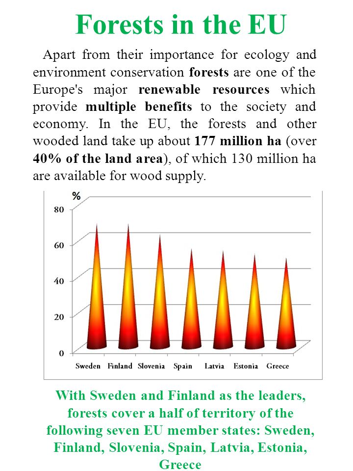 Forests in the EU Apart from their importance for ecology and environment conservation forests are one of the Europe s major renewable resources which provide multiple benefits to the society and economy.