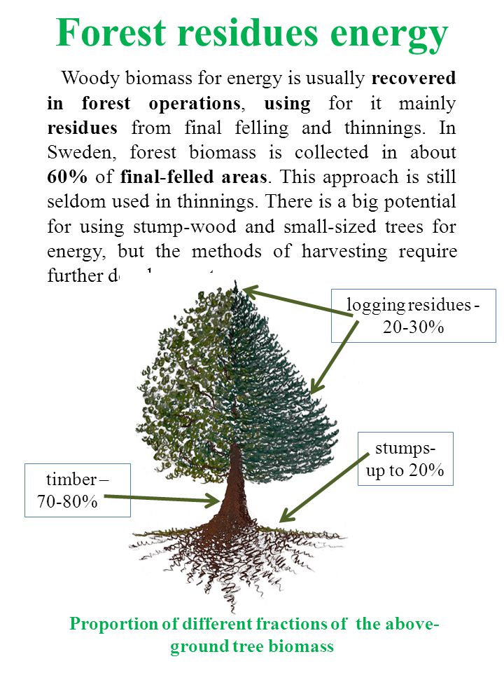 Woody biomass for energy is usually recovered in forest operations, using for it mainly residues from final felling and thinnings.