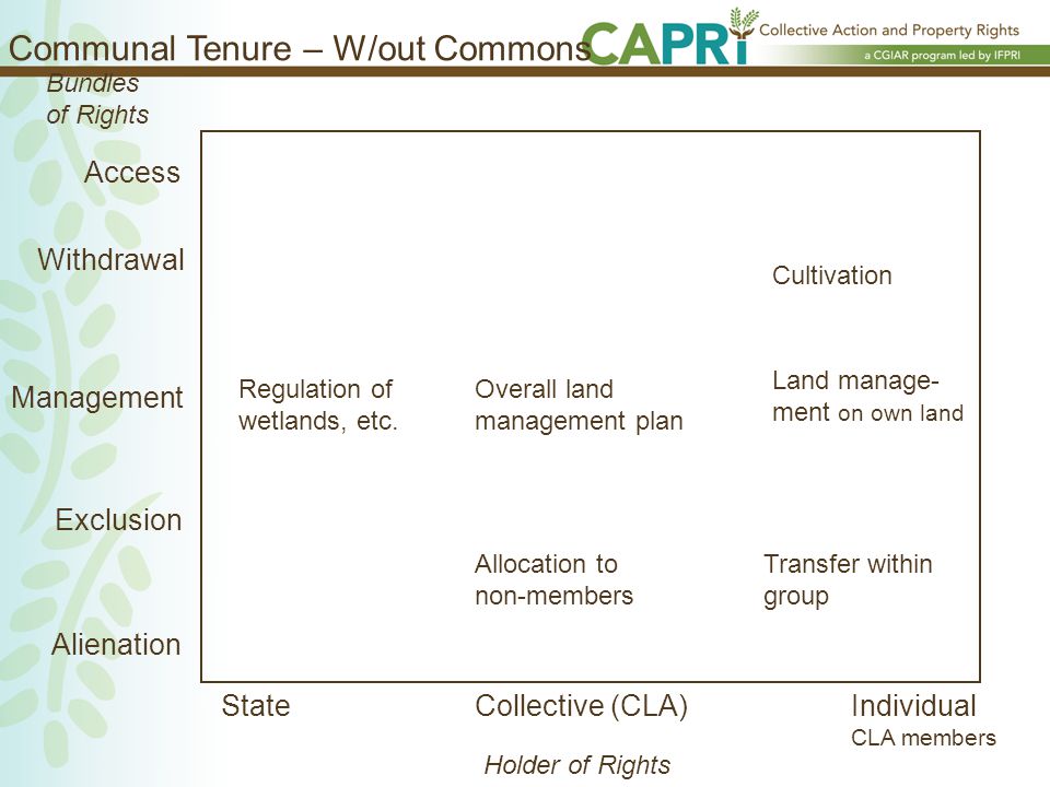 Commons Or Communal Land A Framework For Understanding Property Rights In Practice Ruth Meinzen Dick Senior Research Fellow International Food Policy Ppt Download