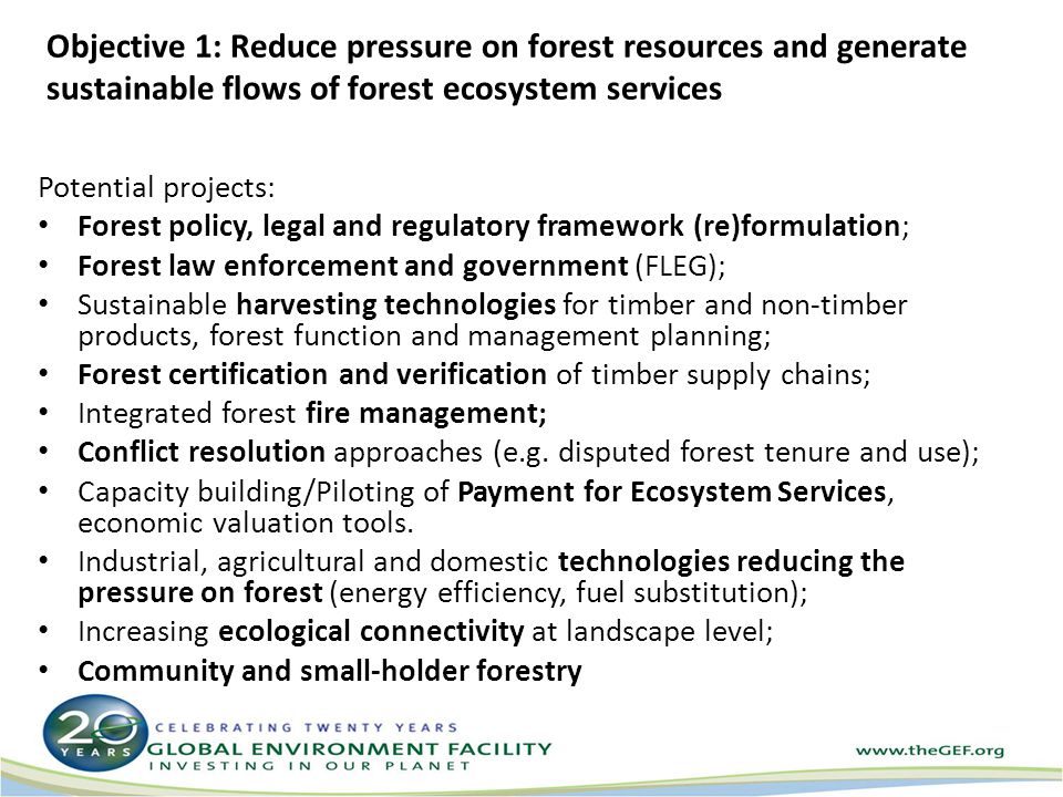 Objective 1: Reduce pressure on forest resources and generate sustainable flows of forest ecosystem services Potential projects: Forest policy, legal and regulatory framework (re)formulation; Forest law enforcement and government (FLEG); Sustainable harvesting technologies for timber and non-timber products, forest function and management planning; Forest certification and verification of timber supply chains; Integrated forest fire management; Conflict resolution approaches (e.g.