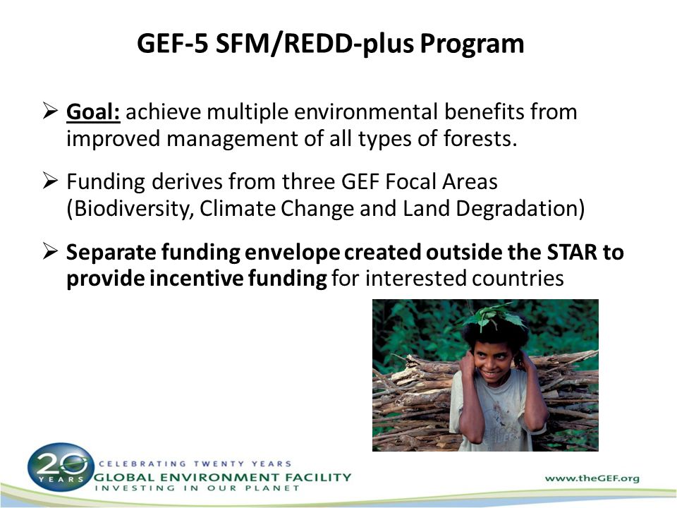 GEF-5 SFM/REDD-plus Program  Goal: achieve multiple environmental benefits from improved management of all types of forests.