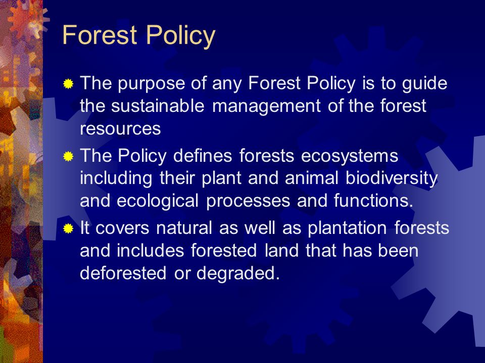 Forest Policy  The purpose of any Forest Policy is to guide the sustainable management of the forest resources  The Policy defines forests ecosystems including their plant and animal biodiversity and ecological processes and functions.