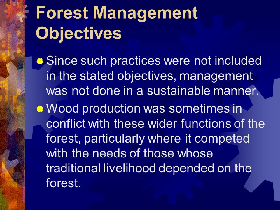 Forest Management Objectives  Since such practices were not included in the stated objectives, management was not done in a sustainable manner.