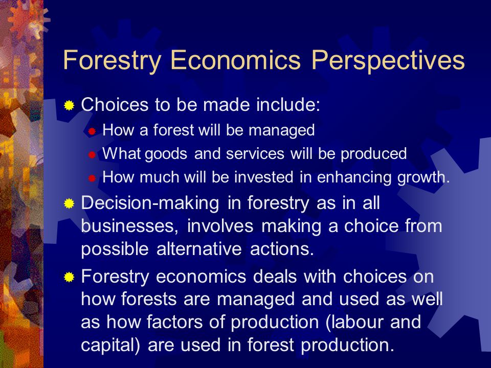 Forestry Economics Perspectives  Choices to be made include:  How a forest will be managed  What goods and services will be produced  How much will be invested in enhancing growth.
