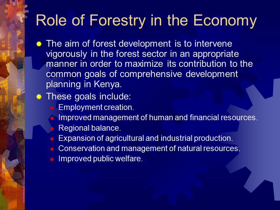 Role of Forestry in the Economy  The aim of forest development is to intervene vigorously in the forest sector in an appropriate manner in order to maximize its contribution to the common goals of comprehensive development planning in Kenya.