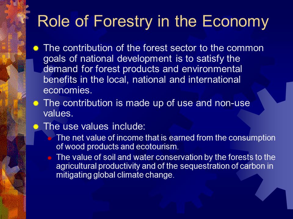 Role of Forestry in the Economy  The contribution of the forest sector to the common goals of national development is to satisfy the demand for forest products and environmental benefits in the local, national and international economies.