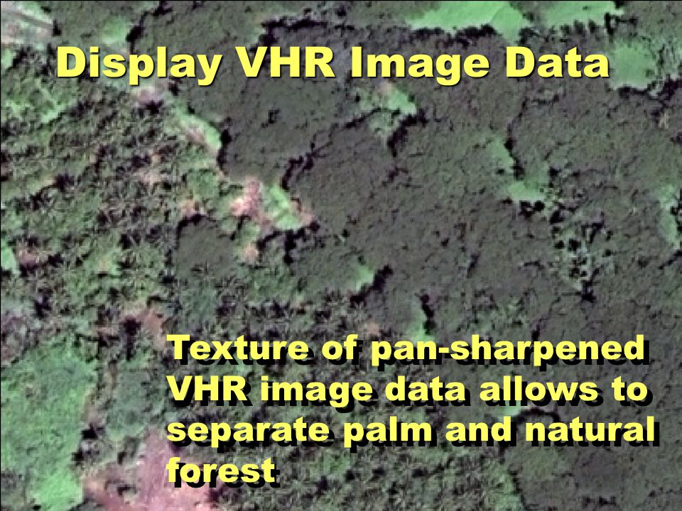 Display VHR Image Data Texture of pan-sharpened VHR image data allows to separate palm and natural forest