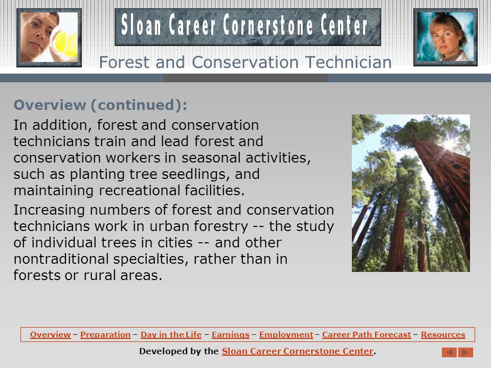 Overview: Forest and conservation technicians compile data on the size, content, and condition of forest land.