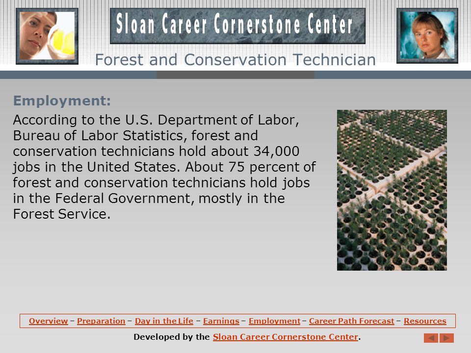Earnings: According to the US Department of Labor, Bureau of Labor Statistics, the median hourly earnings of forest and conservation technicians are about $23.97 per hour.