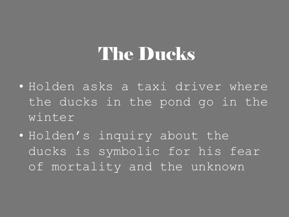 The Ducks Holden asks a taxi driver where the ducks in the pond go in the winter Holden’s inquiry about the ducks is symbolic for his fear of mortality and the unknown